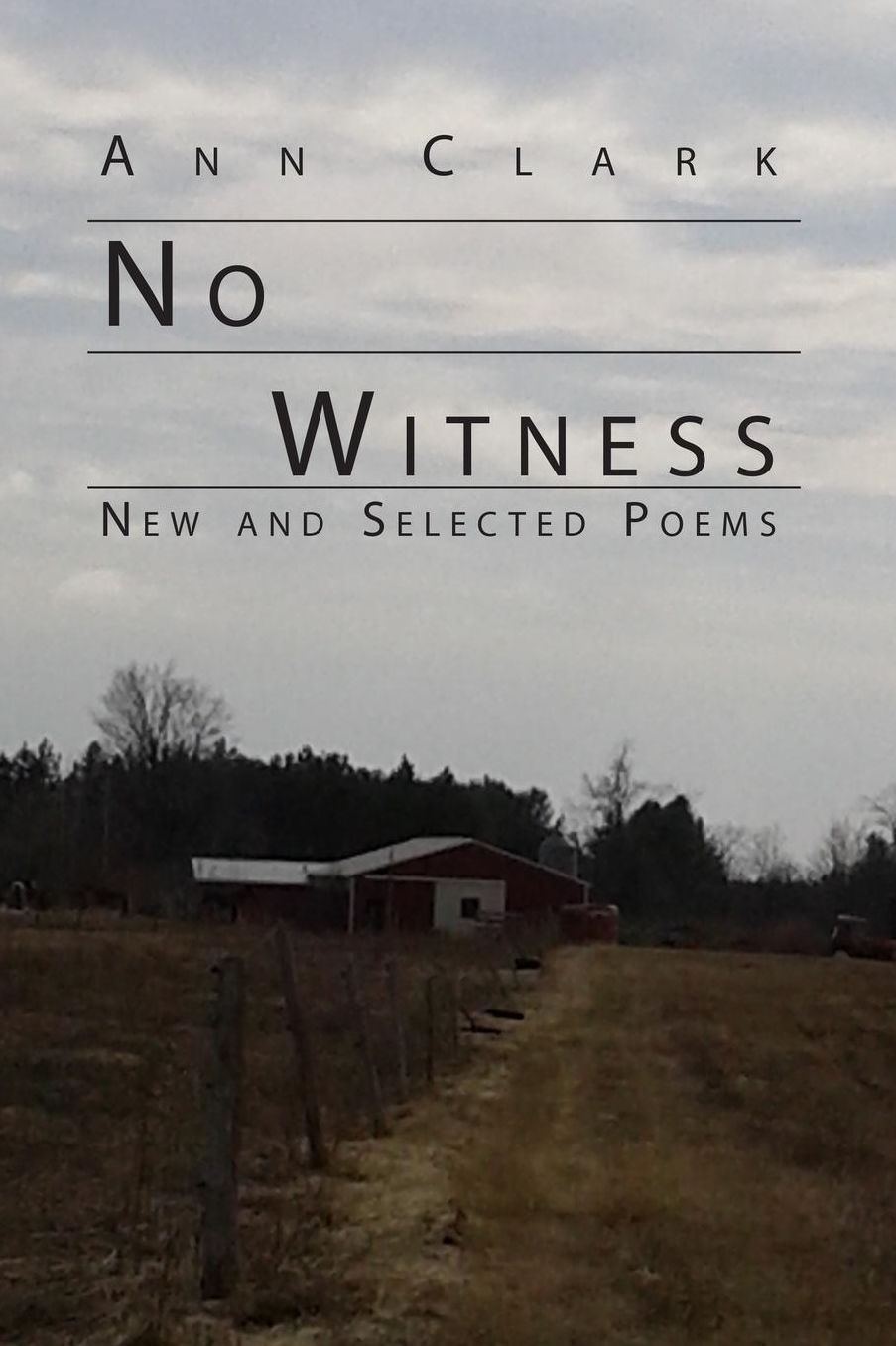 No Witness: New and Selected Poems