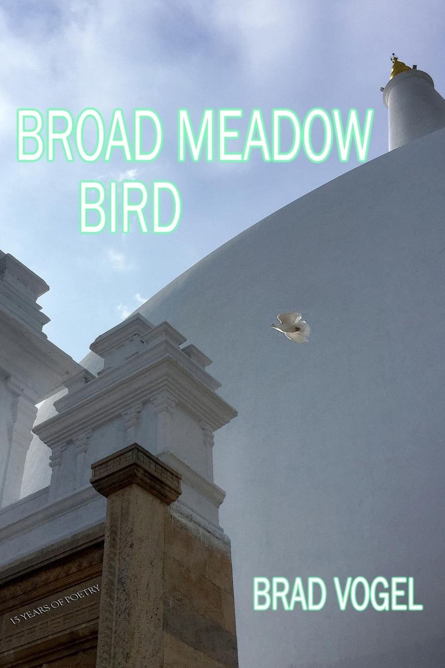Broad Meadow Bird: 15 years of poetry