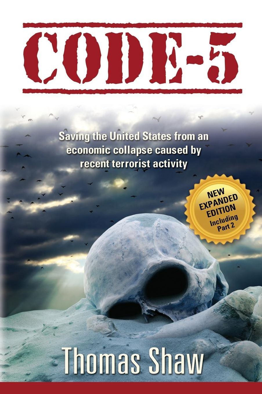 Code-5: Saving the United States from an economic collapse caused by recent terrorist activity