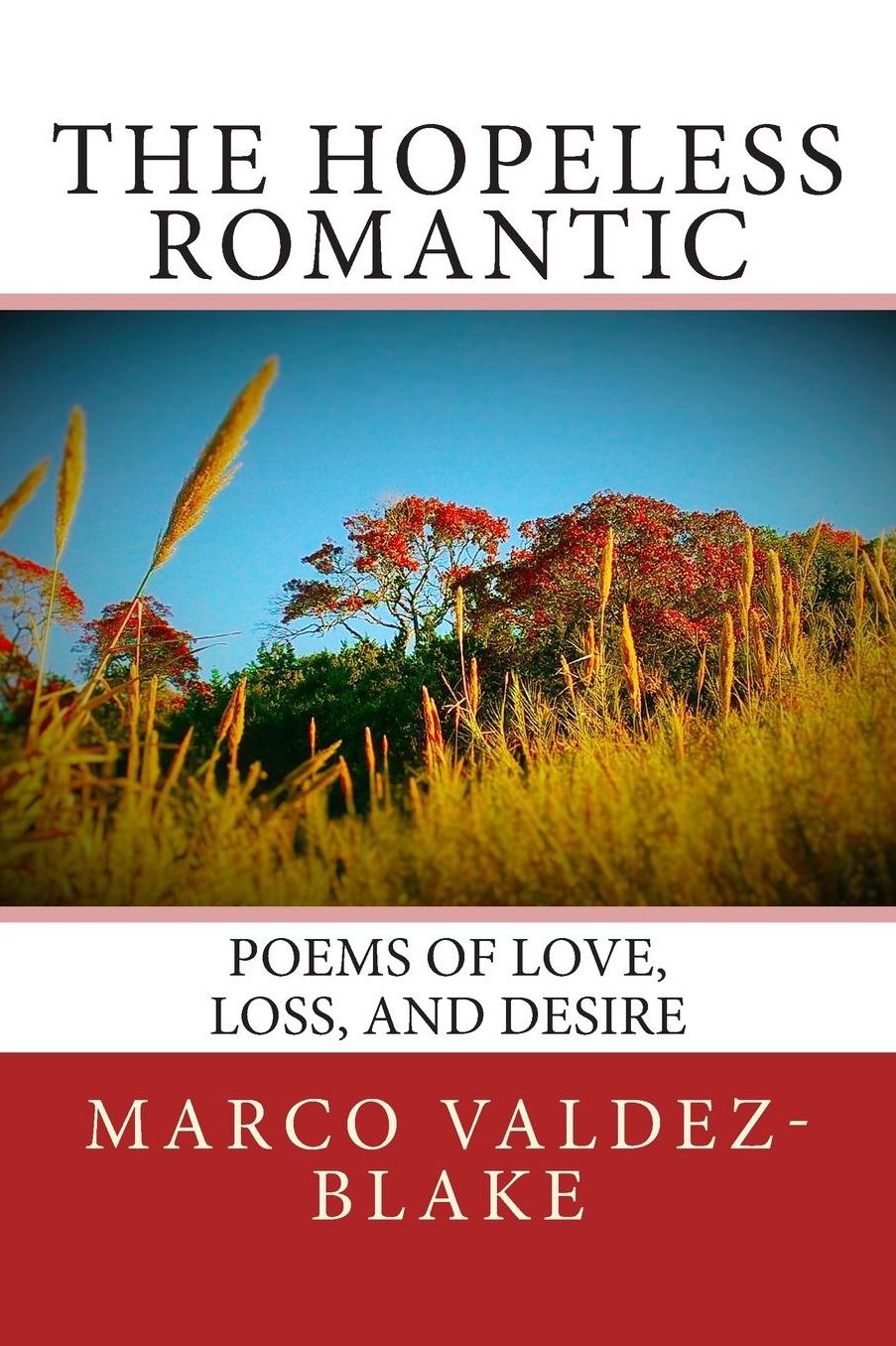 The Hopeless Romantic (Poems and Songs of Love, Loss, and Desire)