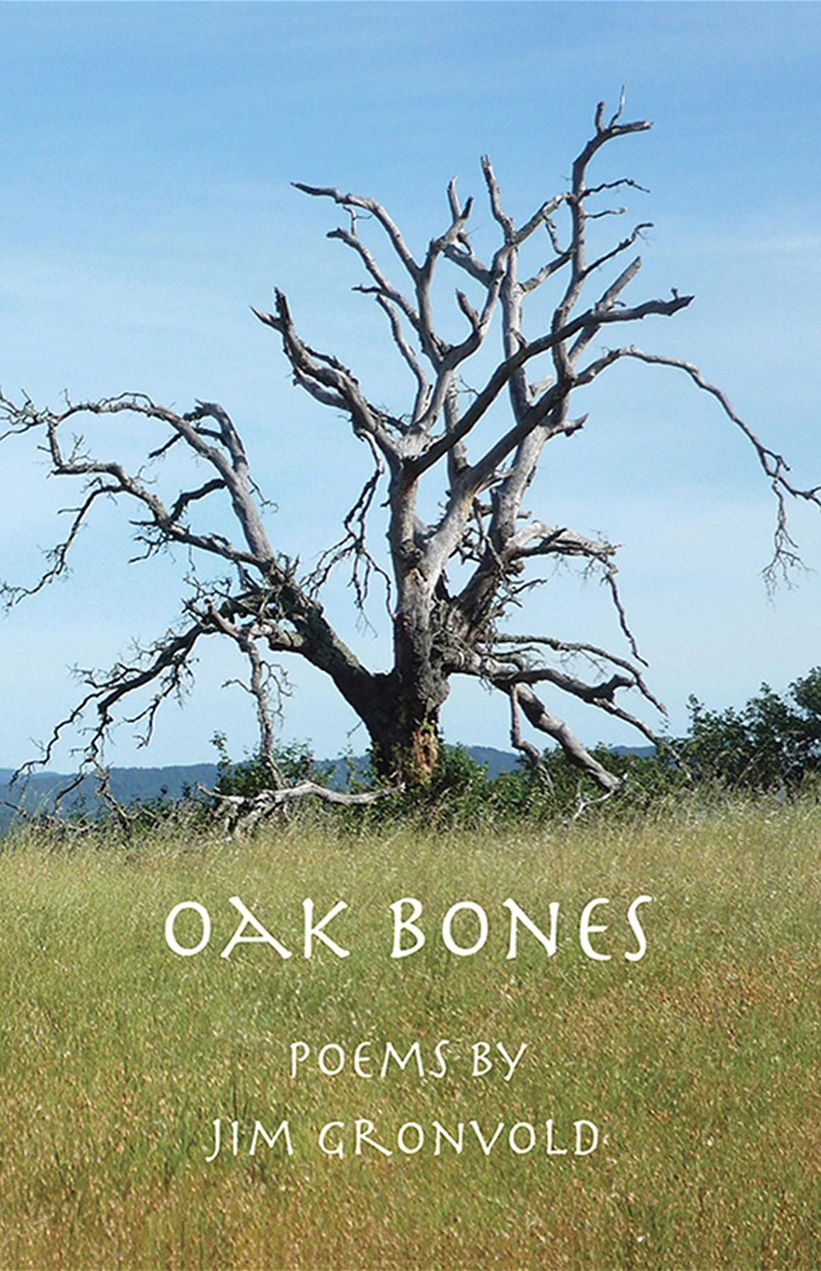 Oak Bones: Poems by Jim Gronvold