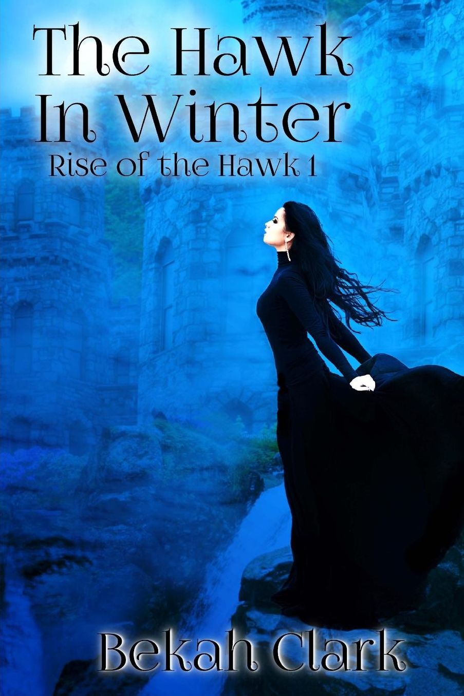 The Hawk In Winter