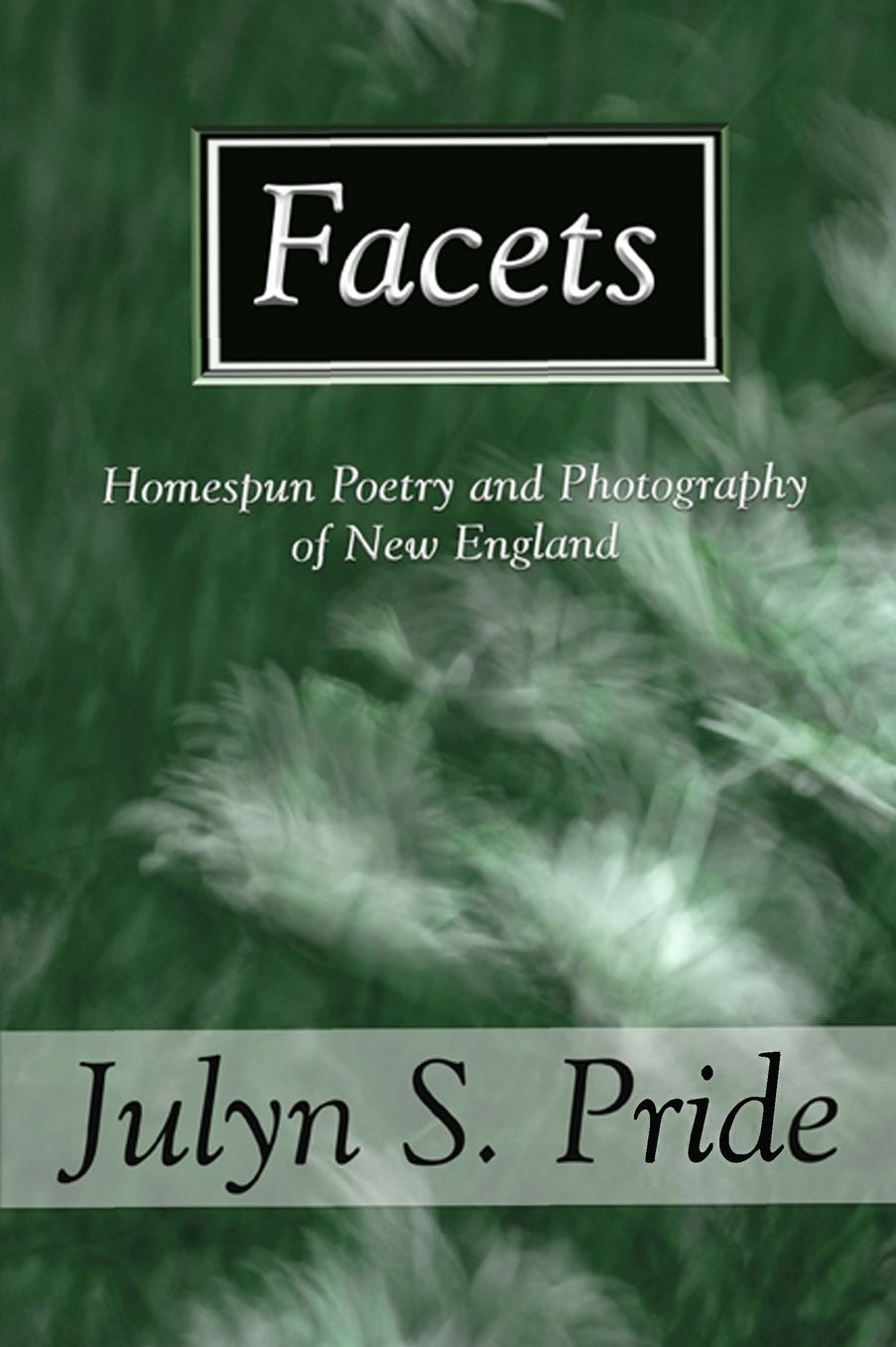Facets: Homespun Poetry and Photography of New England