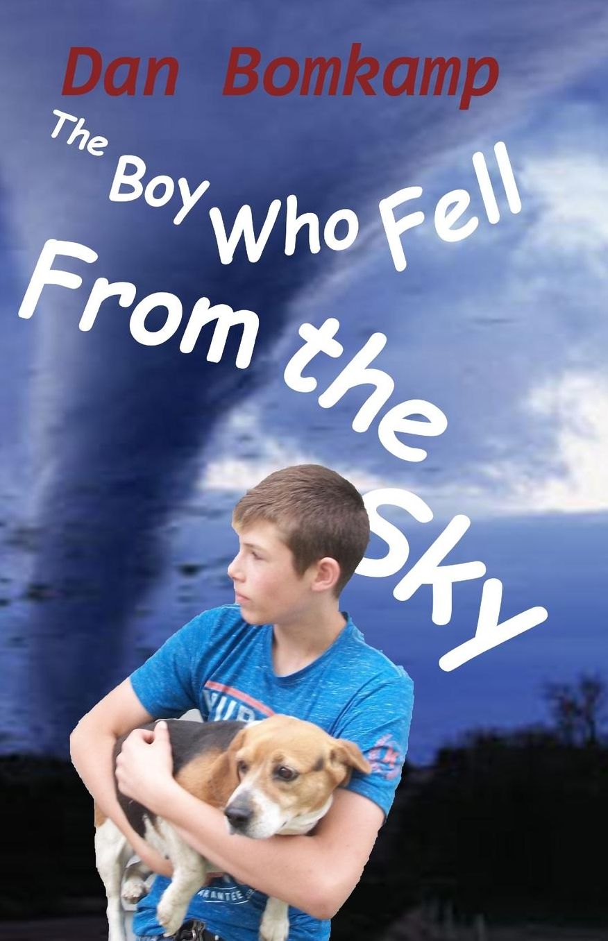 The Boy Who Fell From the Sky