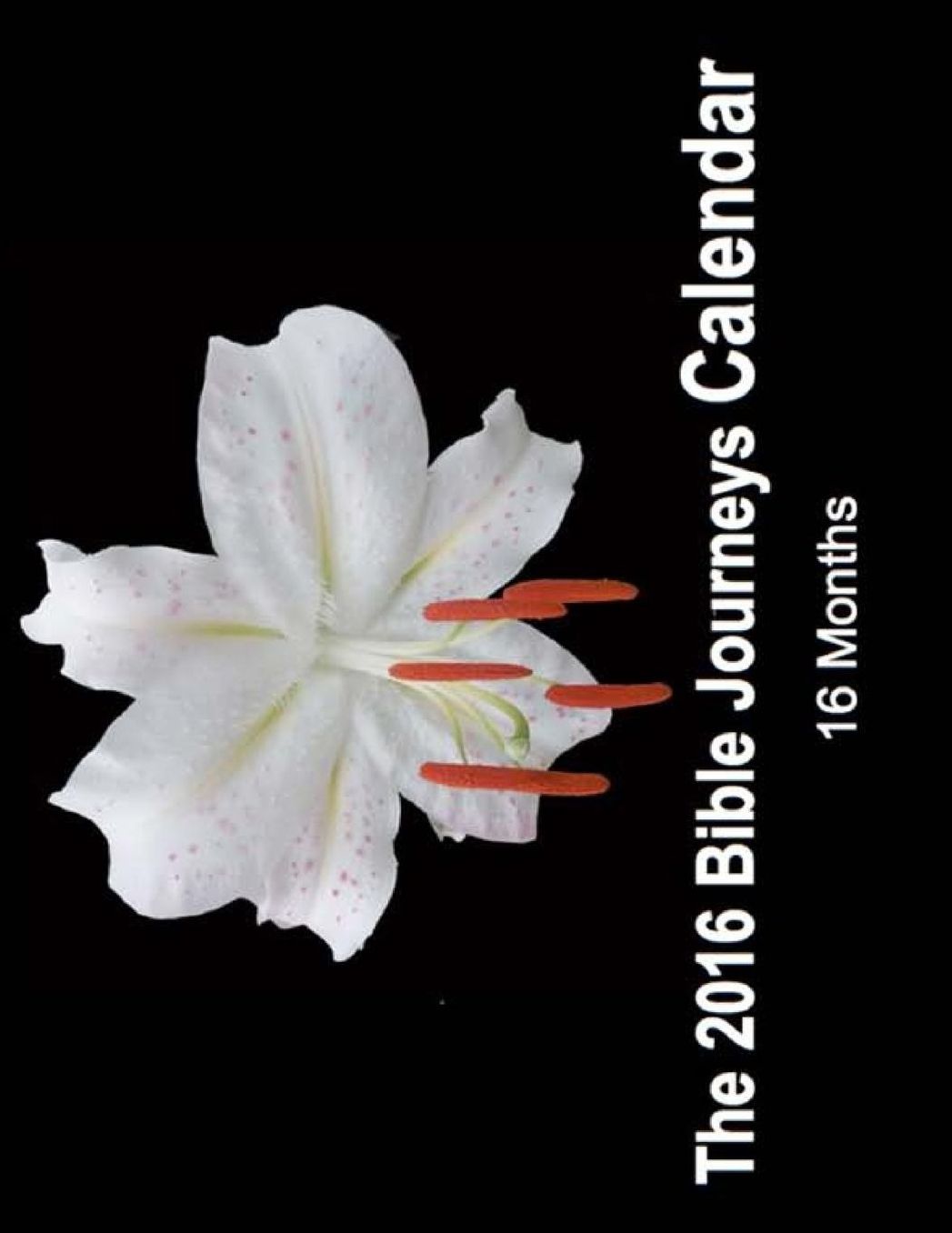 2016 Bible Journeys Calendar: 16 Month Calendar