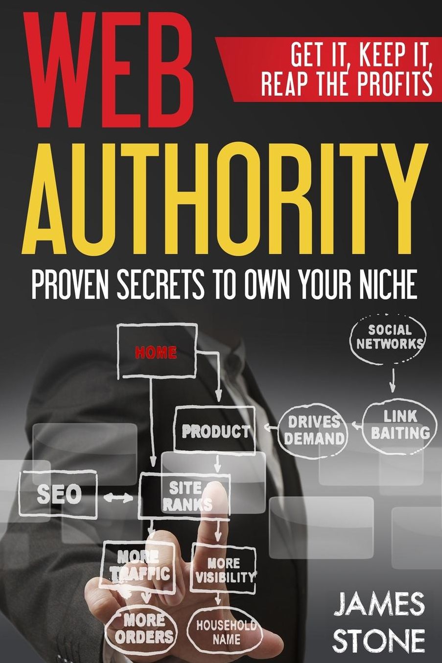 Web Authority, Get it, Keep It, Reap the Profits: Proven Secrets to Own Your Niche