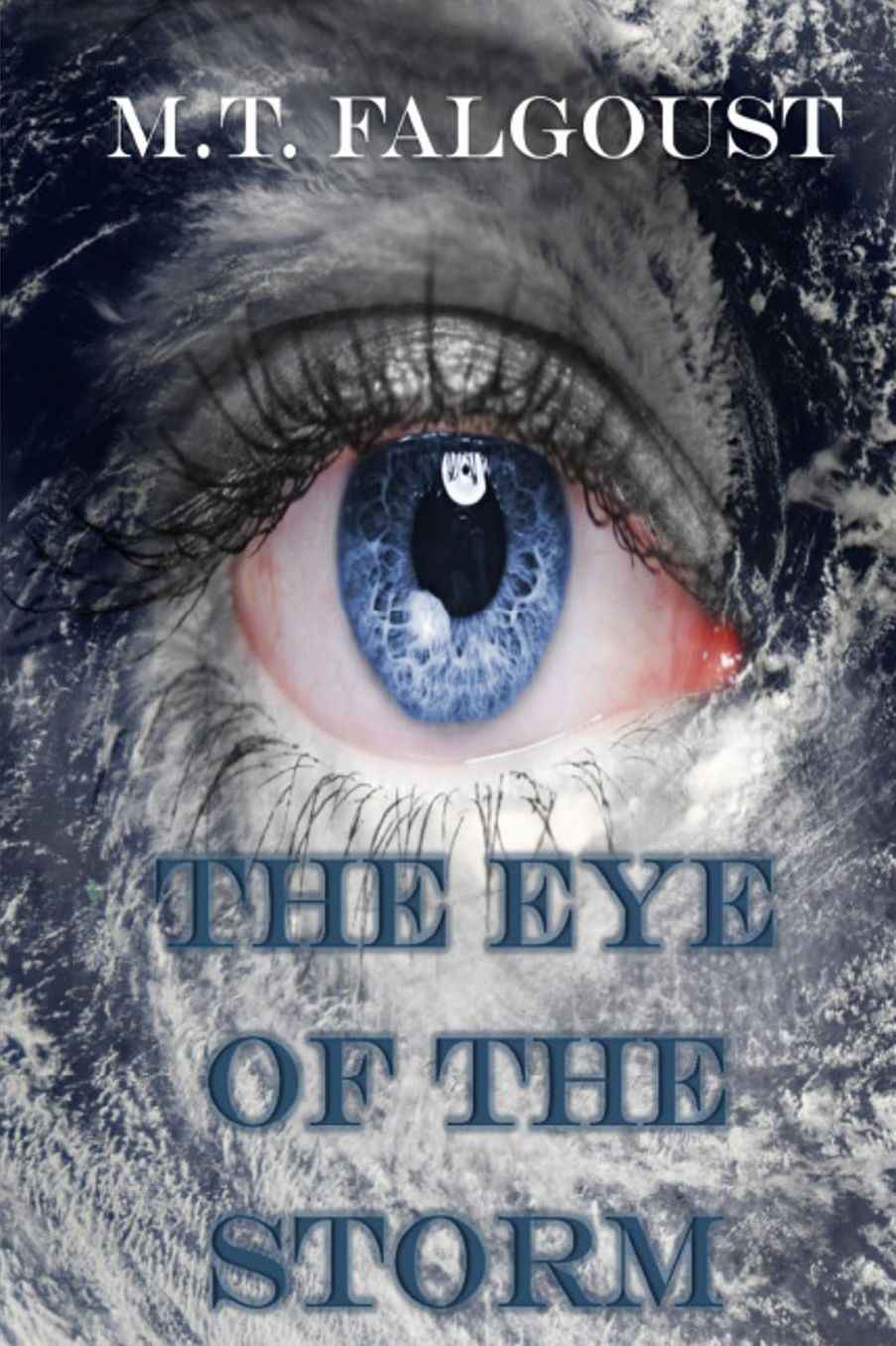 The Eye of the Storm: A.R.I.E.S. Files #1