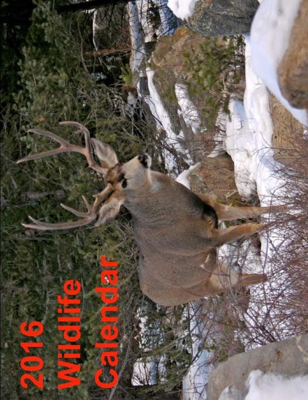2016 Wildlife Calendar: 16 Month Wildlife Calendar