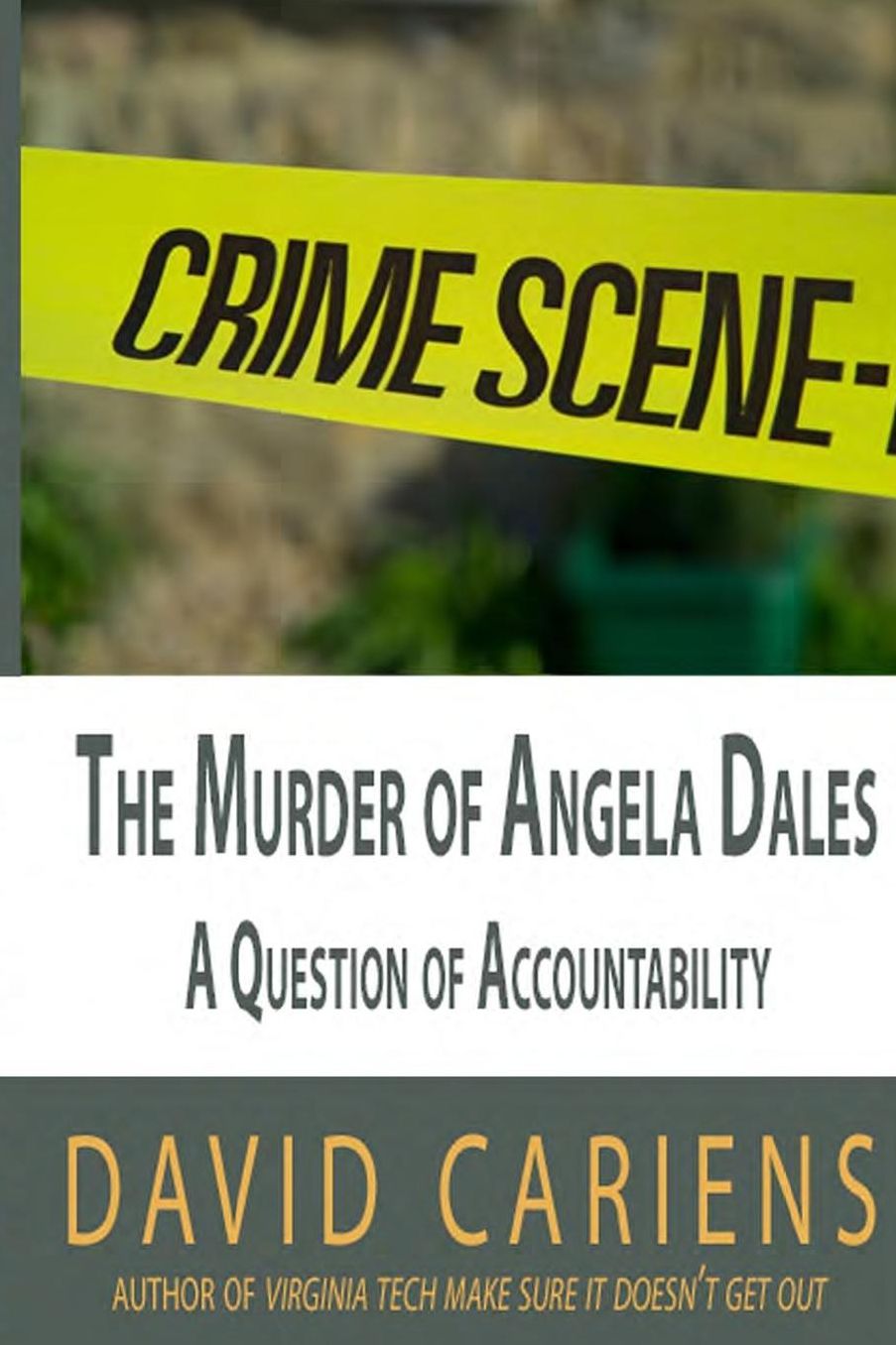 The Murder of Angela Dales: A Question of Accountability