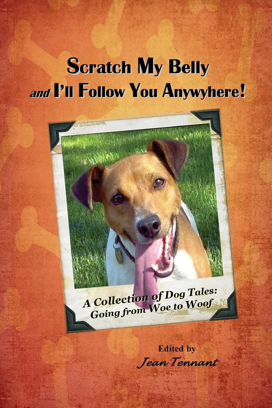 Scratch My Belly & I'll Follow You Anywhere: A Collection of Dog Tales: Going From Woe to Woof