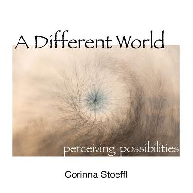 A Different World: perceiving possibilities
