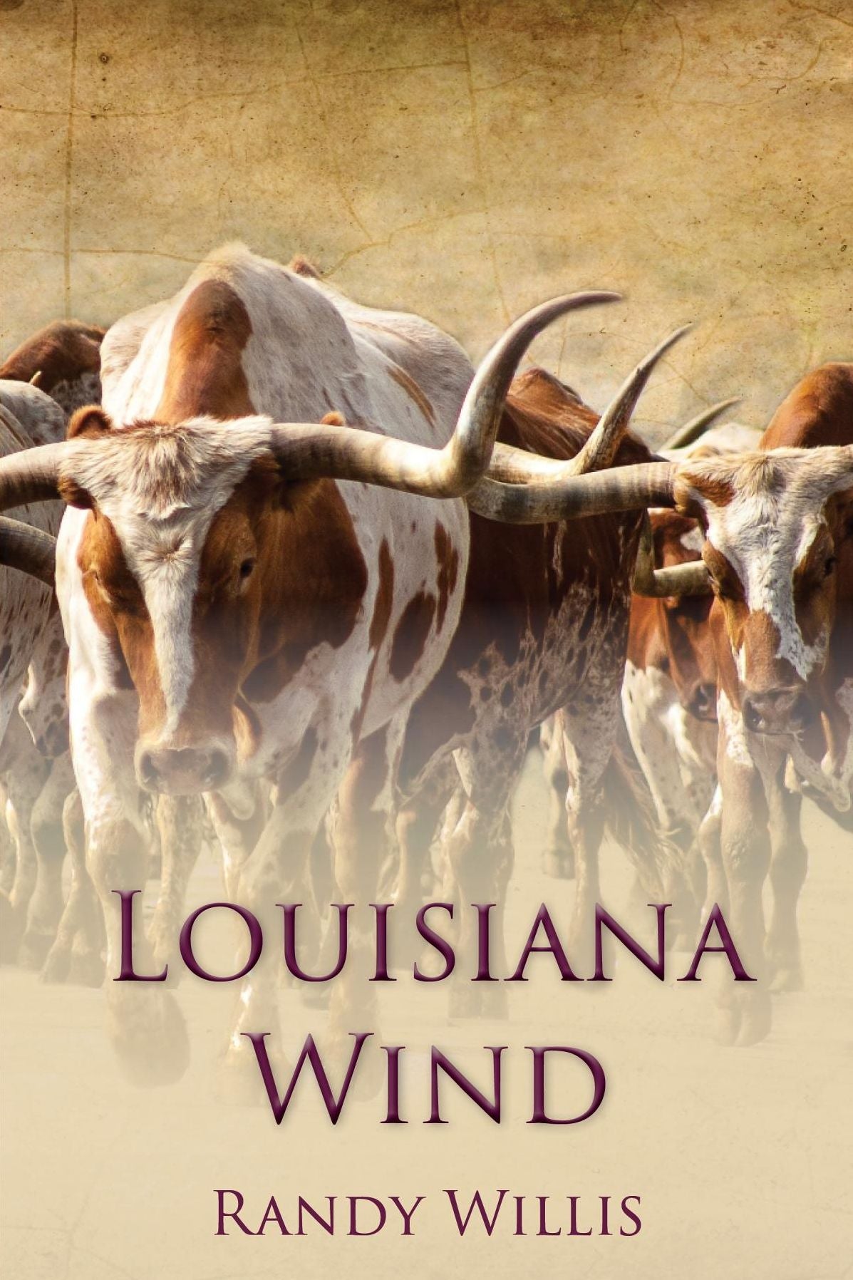 Carolinas Wind: a novel and the biography of Joseph Willis
