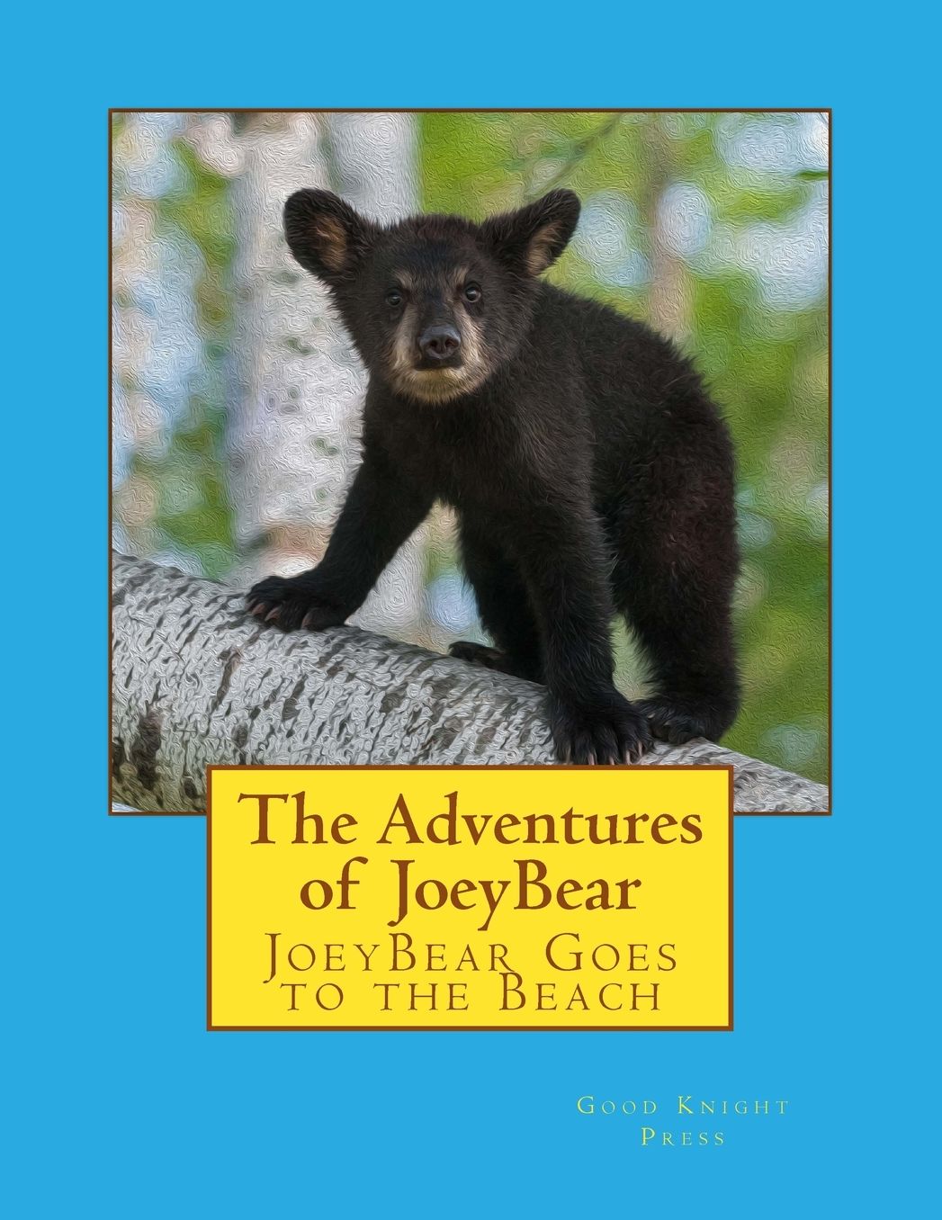The Adventures of JoeyBear: JoeyBear Goes to the Beach