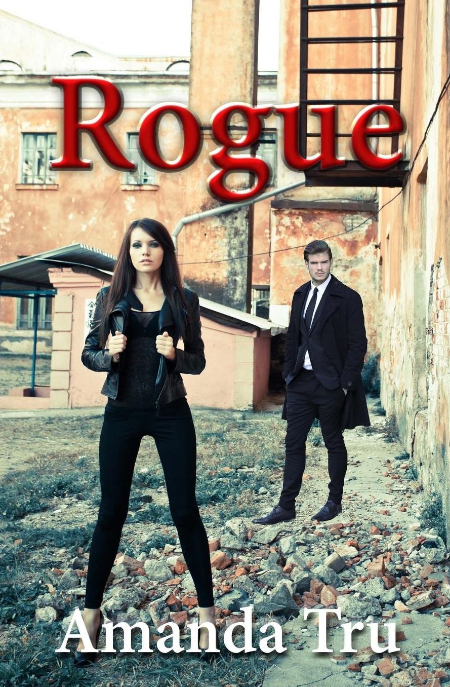 Rogue: Book Four