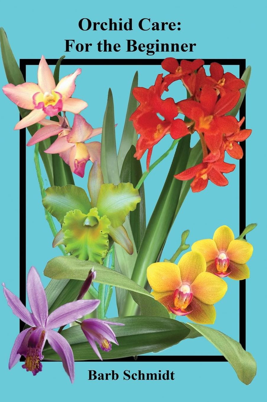 Orchid Care: For the Beginner