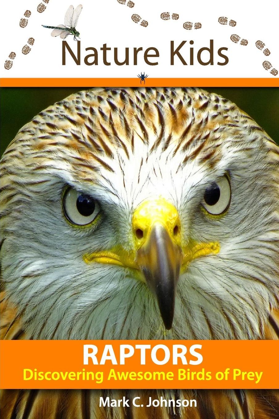 Nature Kids - Raptors: Discovery Awesome Birds of Prey