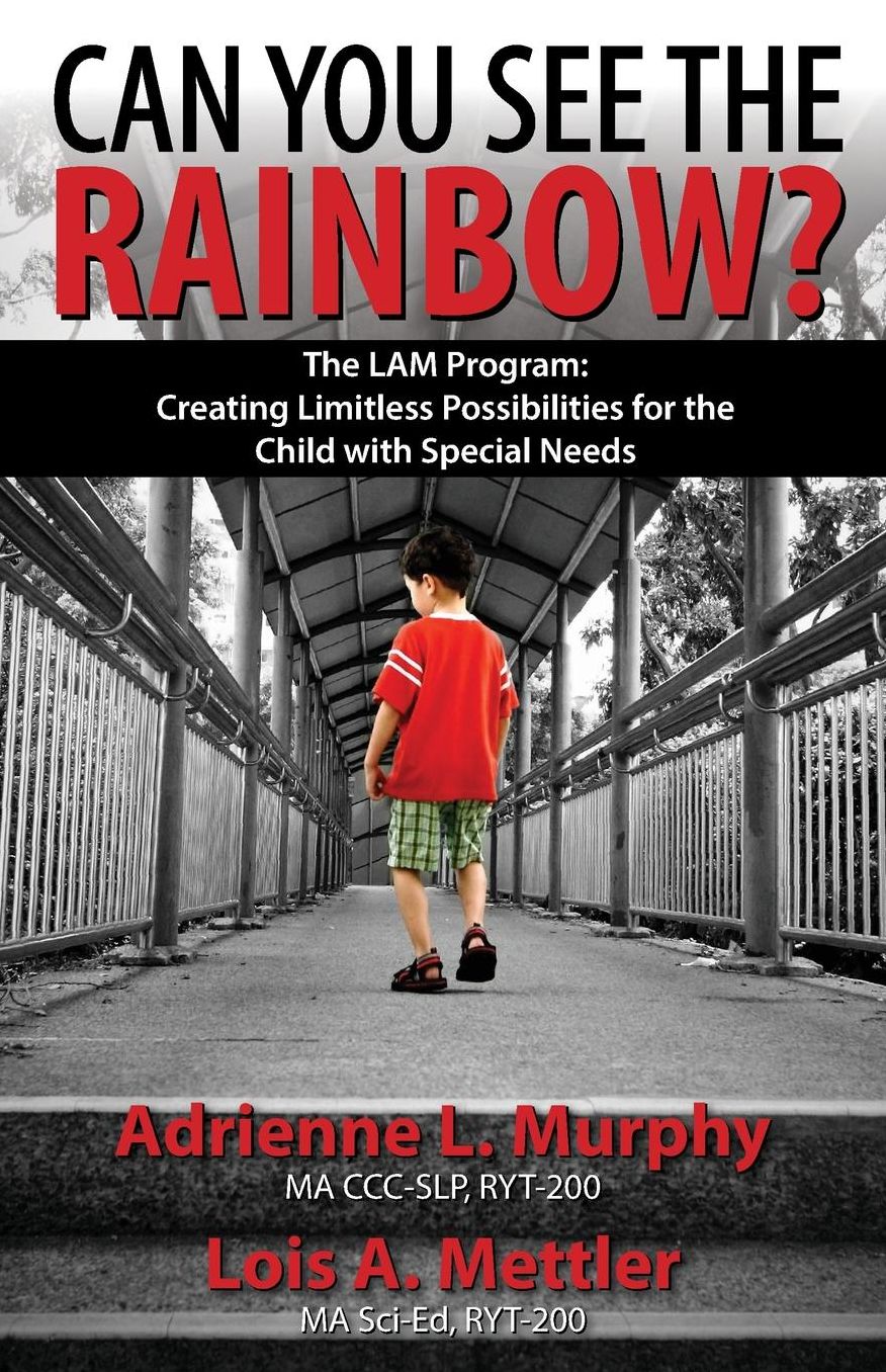 Can You See The Rainbow?: Creating Limitless Possibilities for the Child With Special Needs
