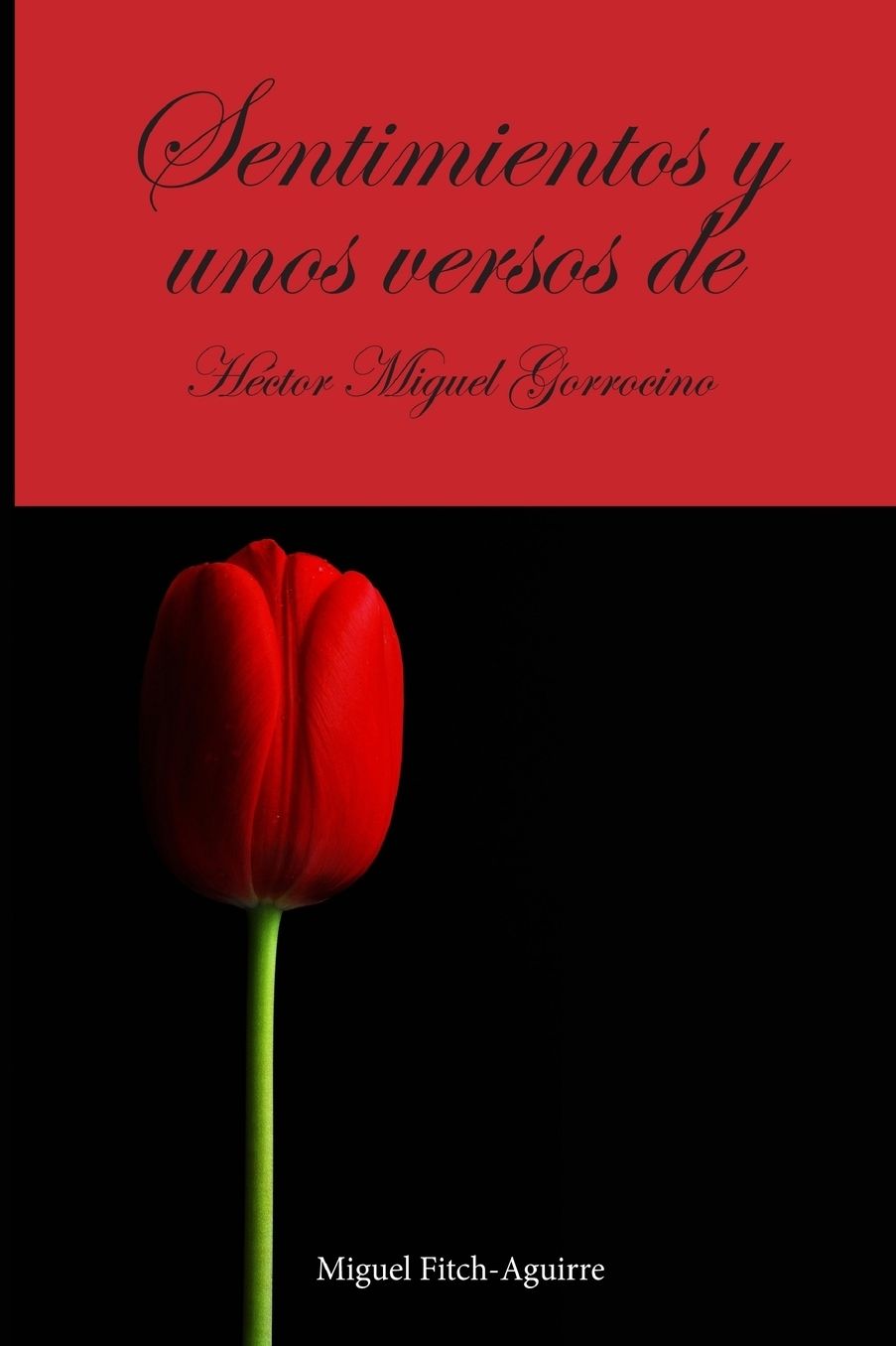 Sentimientos y unos versos de Hector Miguel Gorrocino