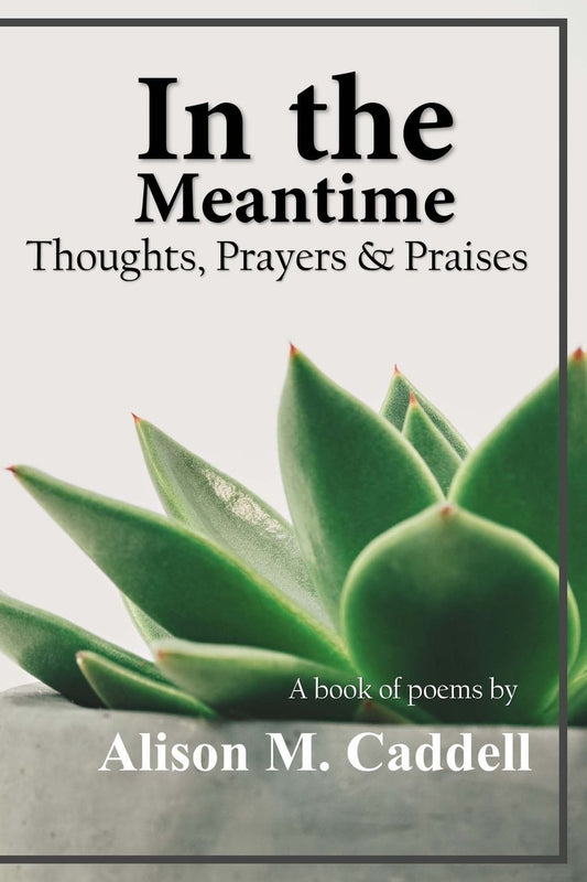 In the Meantime: Thoughts, Prayers & Praises