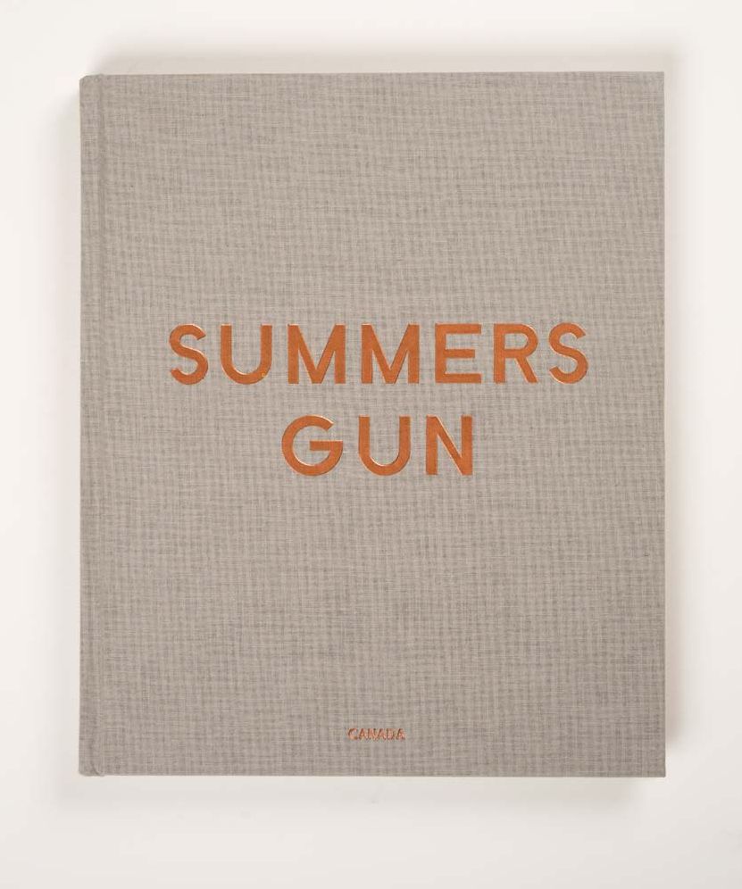 Daniel Hesidence: Summers Gun