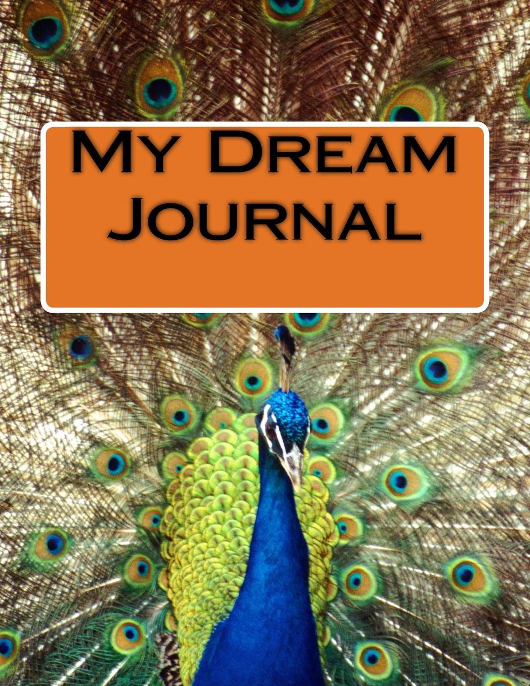 My Dream Journal