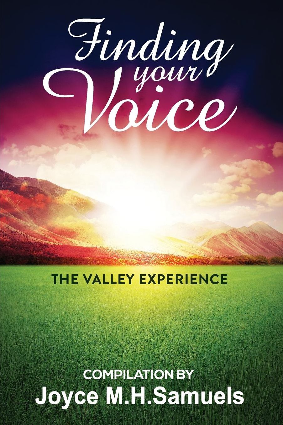 Finding Your Voice: The Valley Experience