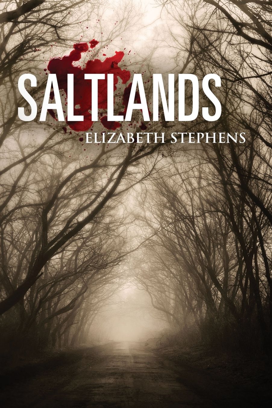 Saltlands, Population #2 (interracial post apocalyptic scifi romance)