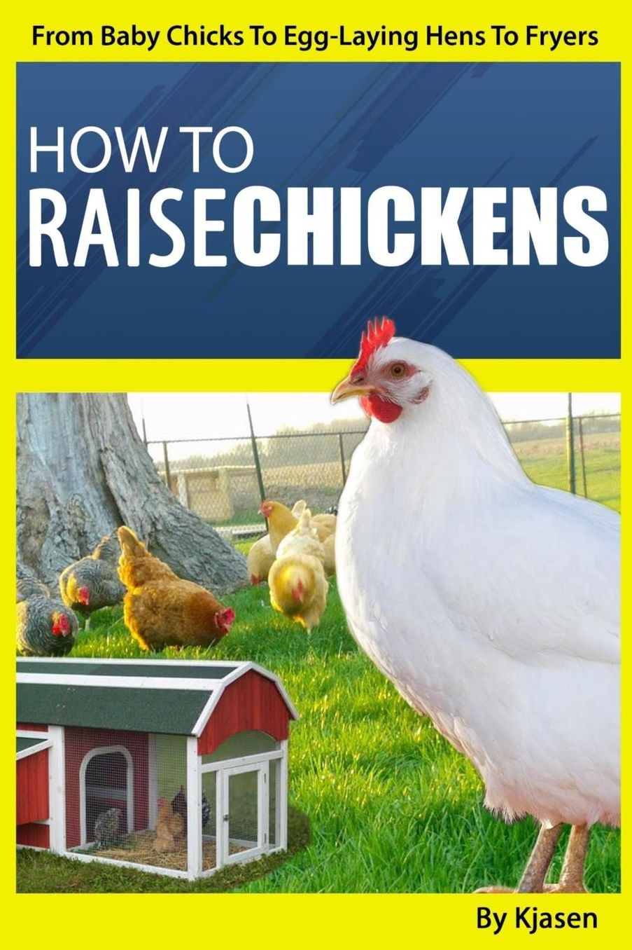 How To Raise Chickens: : From Baby Chicks To Egg-Laying Hens To Fryers