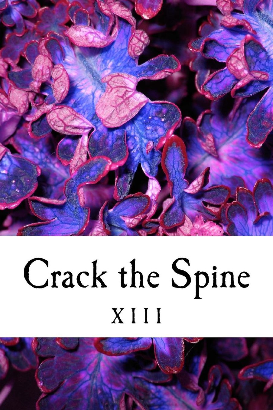 Crack the Spine: XIII