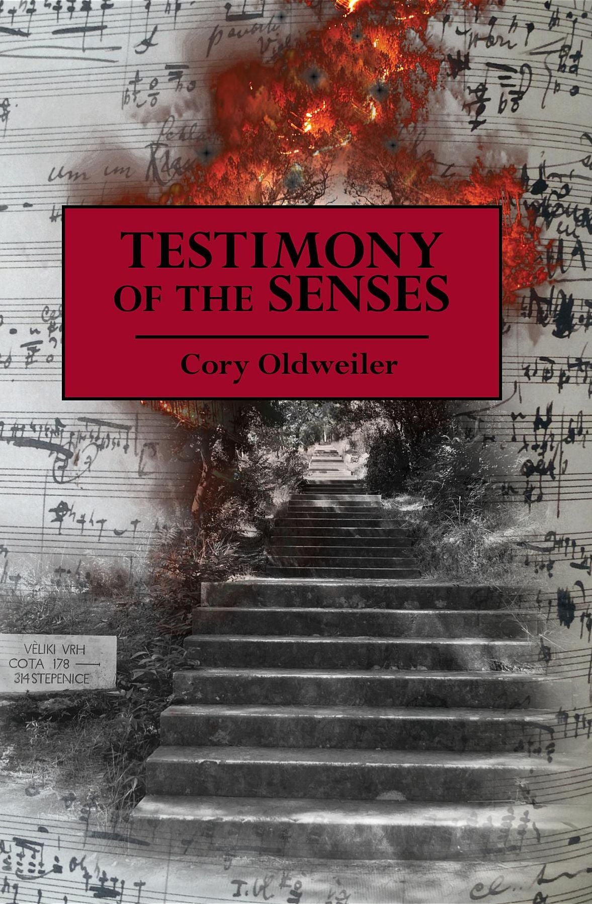 Testimony of the Senses