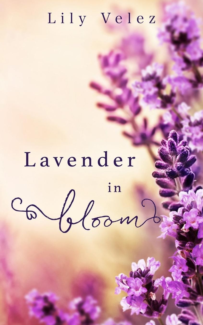 Lavender in Bloom