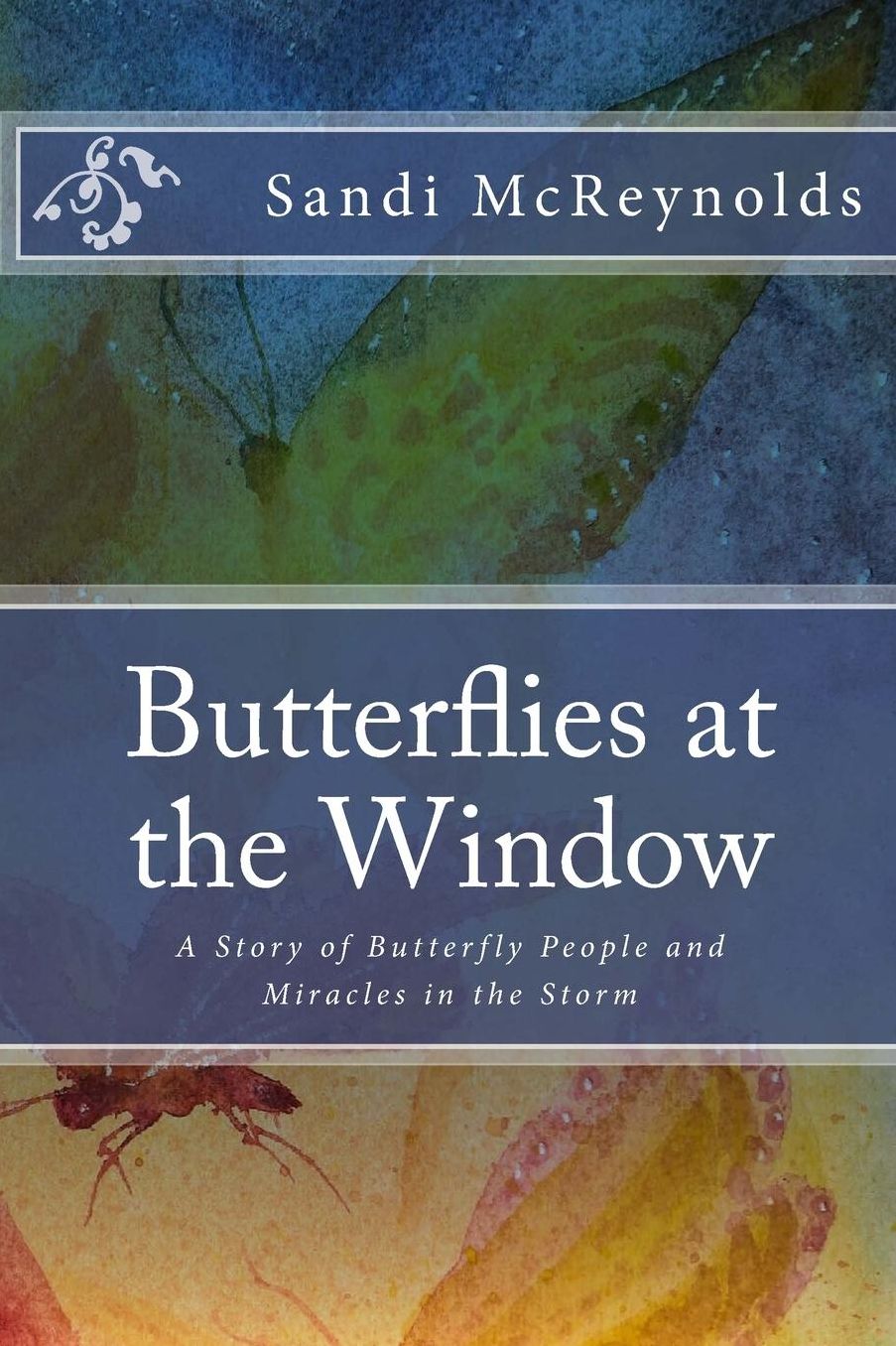 Butterflies at the Window: A Story of Butterfly People and Miracles in the Storm