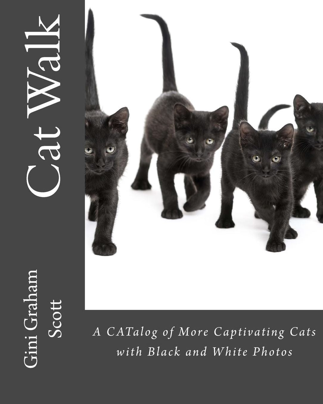 Cat Walk: A CATalog of More Captivating Cats with Black and White Photos