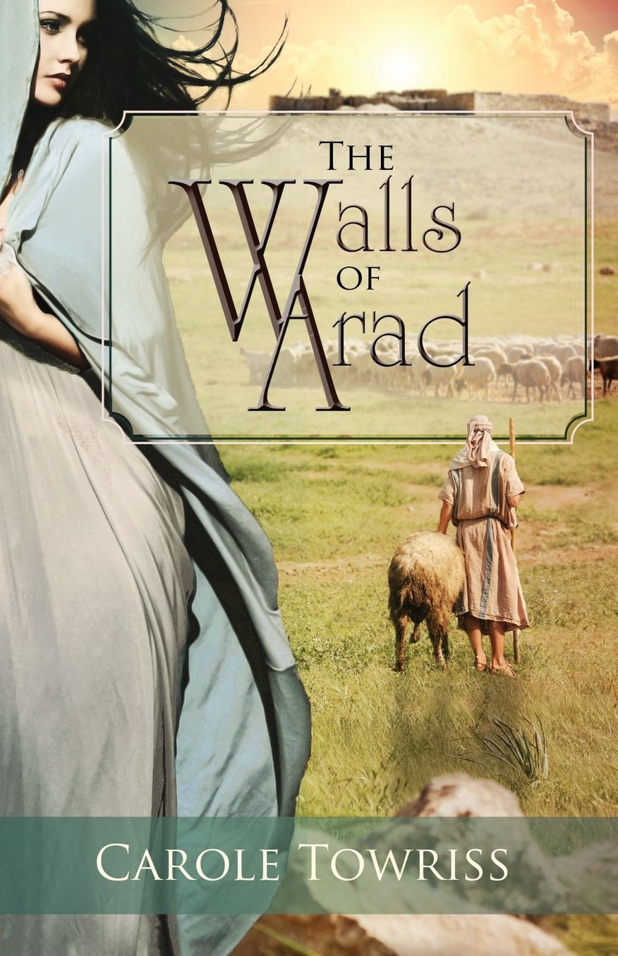 The Walls of Arad