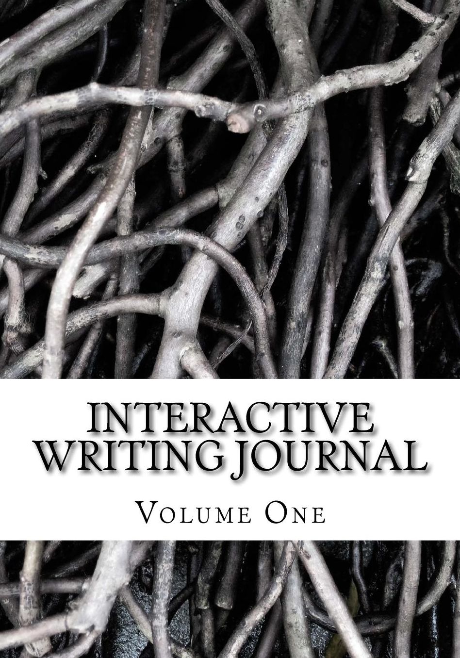 Interactive Writing Journal