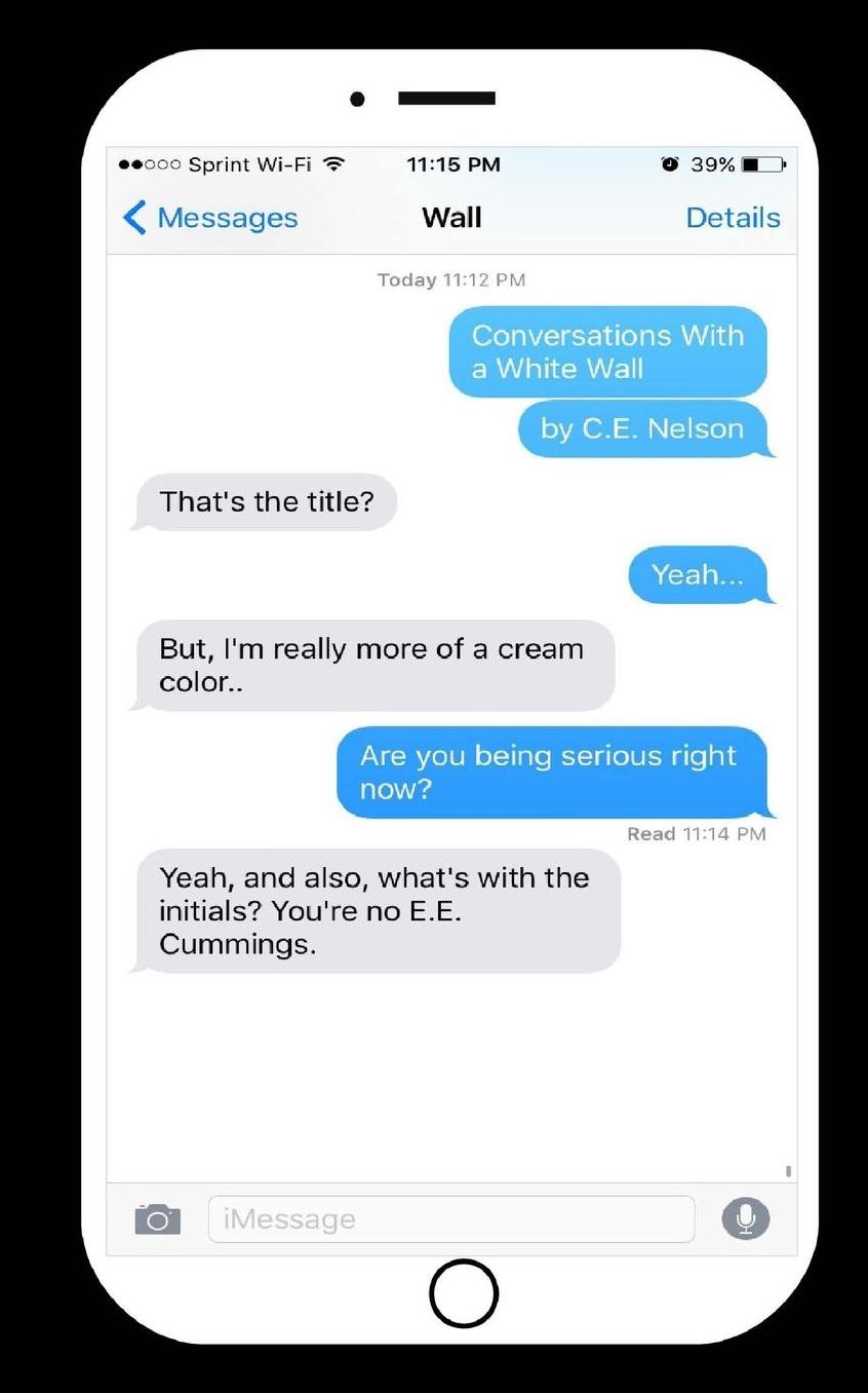 Conversations With a White Wall