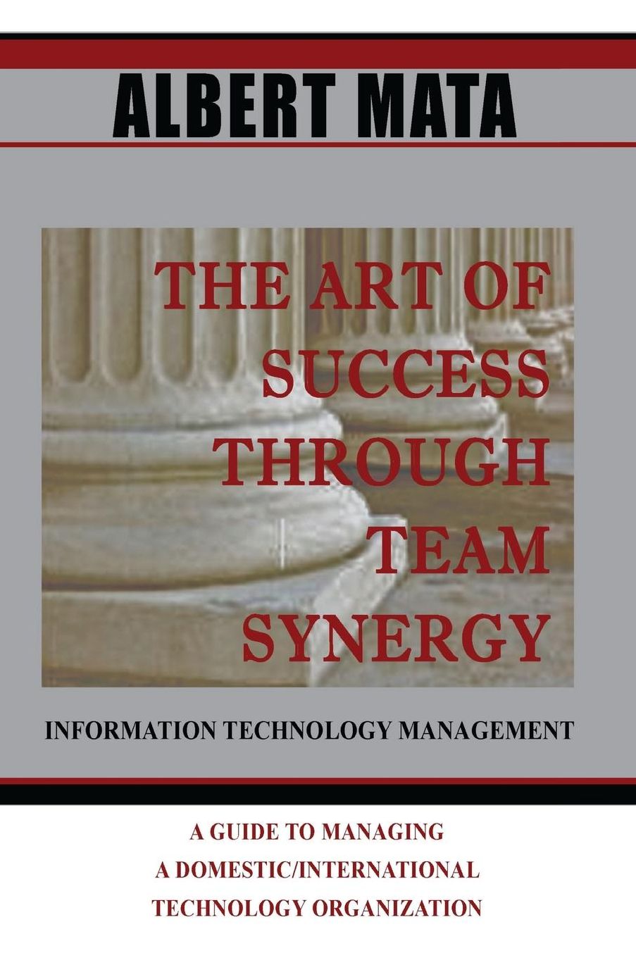 IT Management: The Art of Success Through Team Synergy