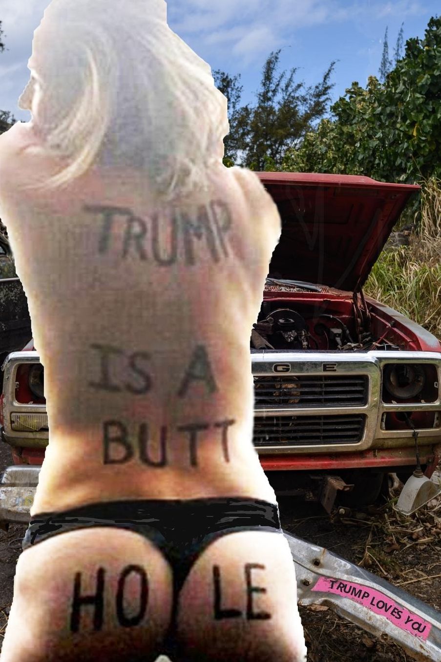 The Book of 323 No to Trump Bumperstickers