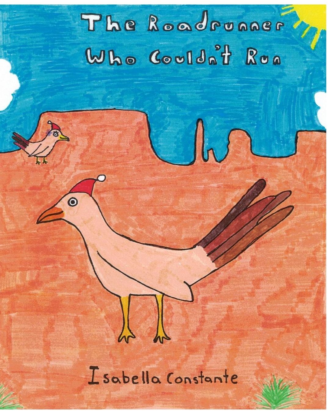 The Roadrunner Who Couldn't Run