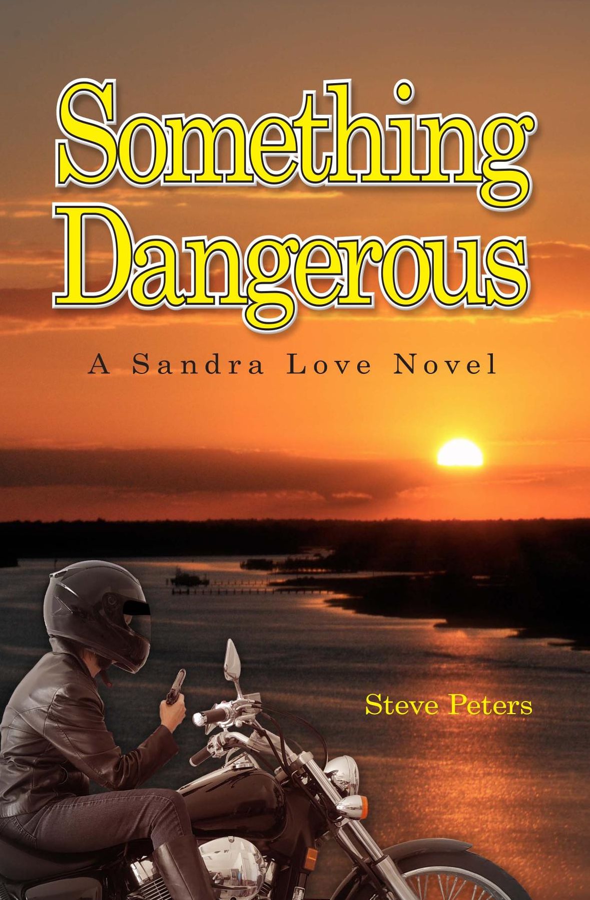 Something Dangerous: A Sandra Love Novel