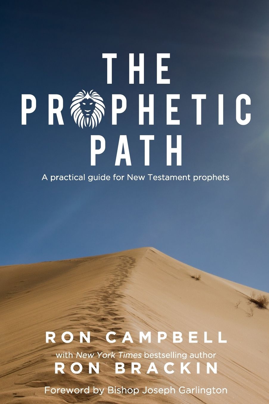 The Prophetic Path: A practical guide for New Testament prophets
