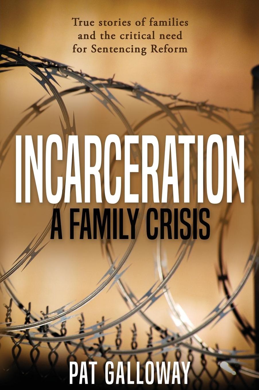 Incarceration: A Family Crisis: True Stories of Families and the Critical Need for Sentencing Reform