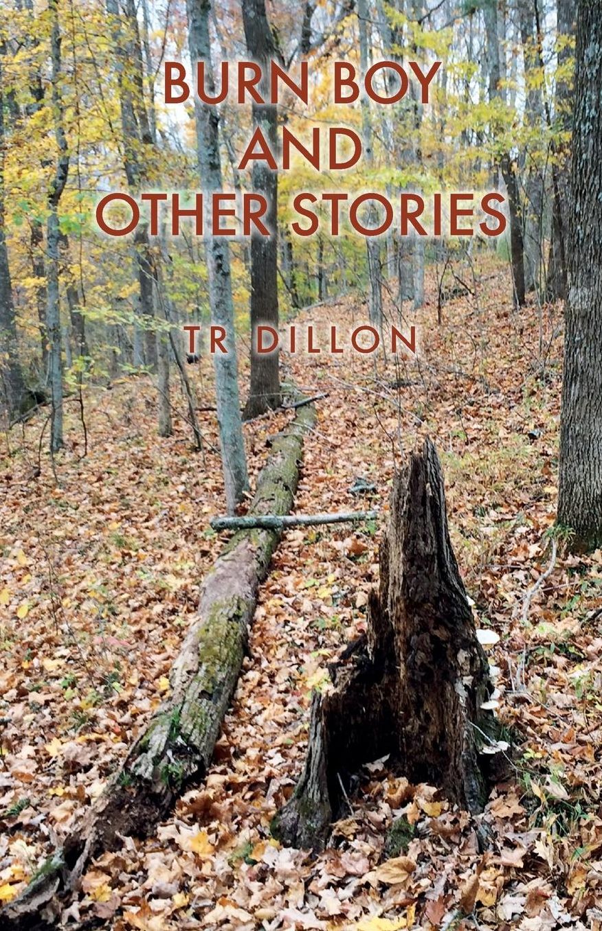 Burn Boy And Other Stories
