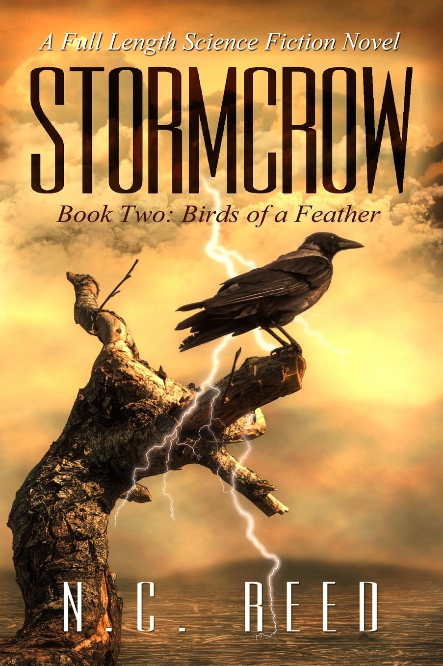 Stormcrow: Birds of a Feather