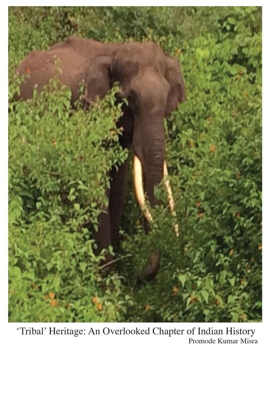 'Tribal' Heritage: An Overlooked Chapter of Indian History