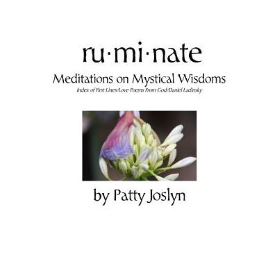 ruminate: Meditations on Mystical Wisdoms