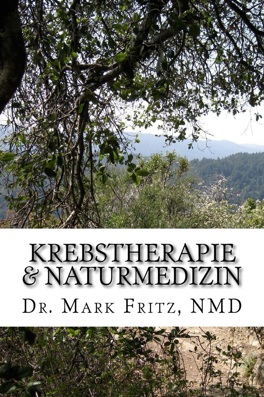 Krebstherapie amp; Naturmedizin: Nebenwirkungen der konventionellen Therapie komplementauml;r naturmedizinisch uuml;berwinden
