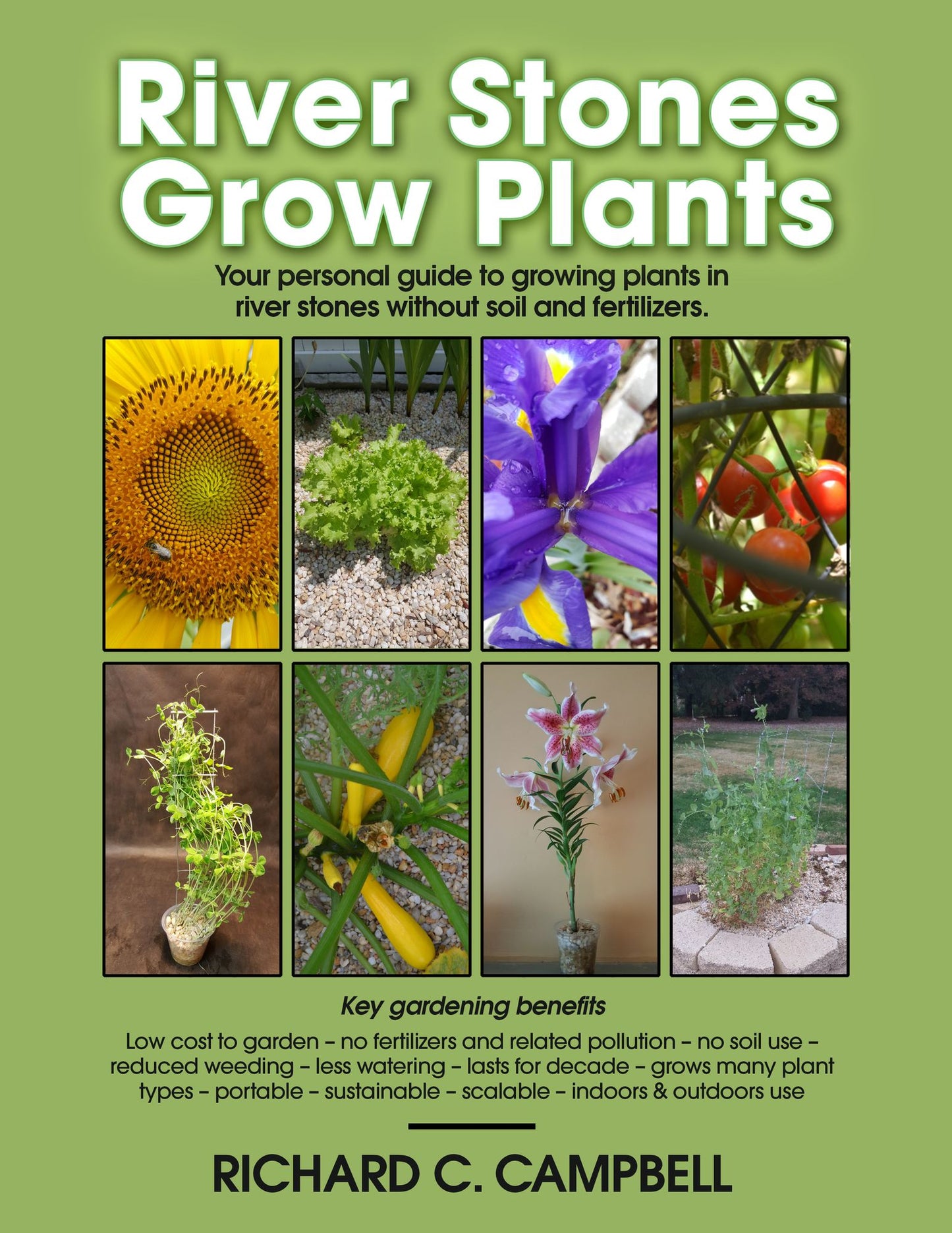 River Stones Grow Plants: Your Personal Guide to Growing Plants in River Stones Without Soil and Fertilizers