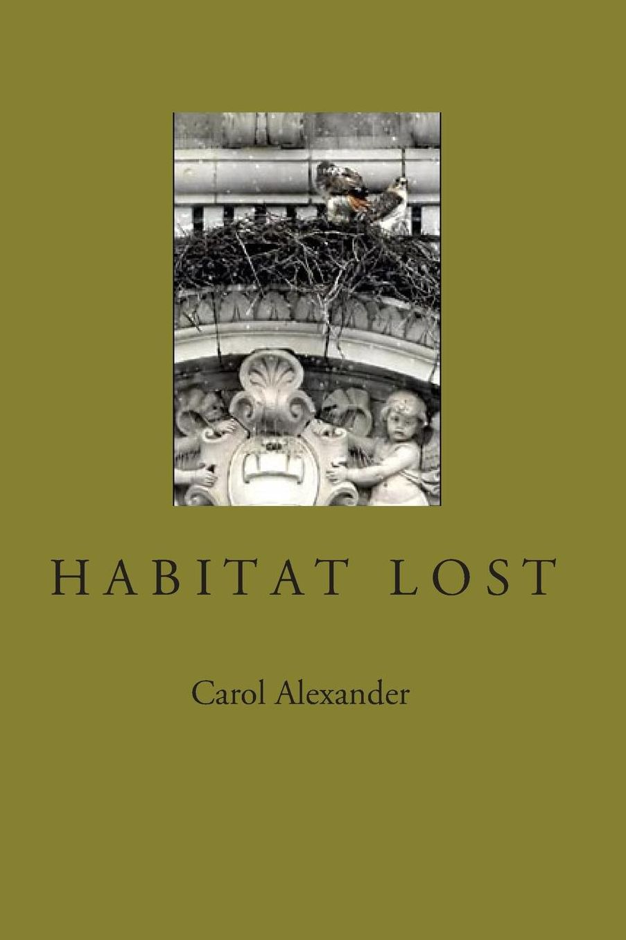 Habitat Lost