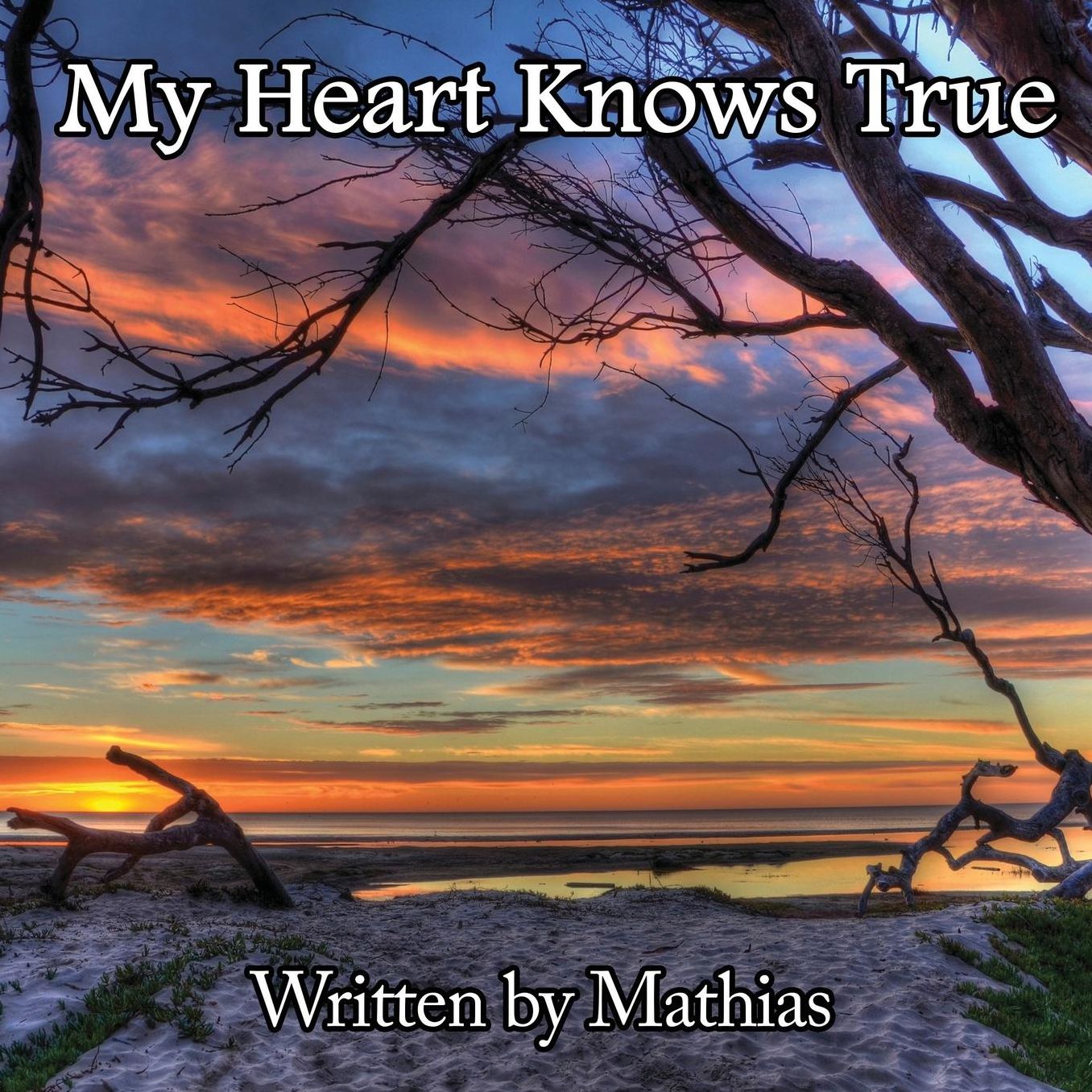 My Heart Knows True: One Man's Inspirational Journey Into the Heart